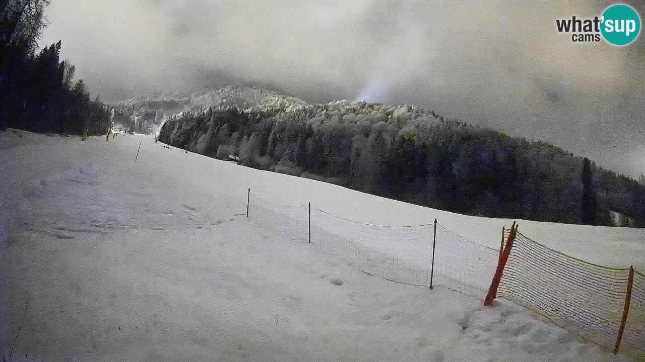 Ski Kranjska Gora | Brsnina