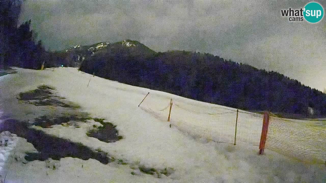 Ski Kranjska Gora | Brsnina