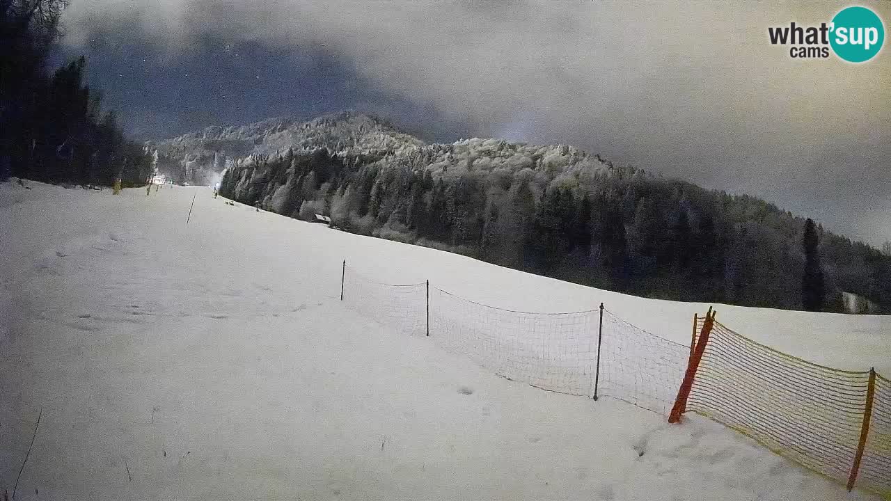 RTC Kranjska Gora | Brsnina