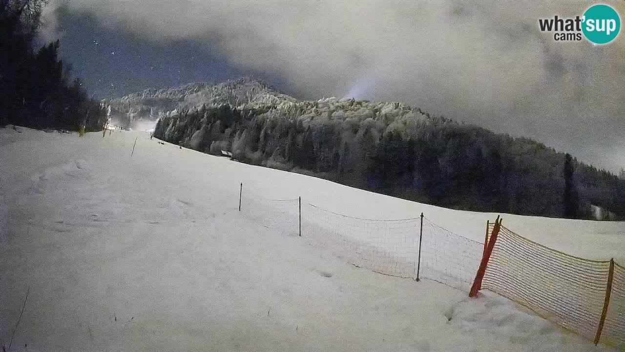 RTC Kranjska Gora | Brsnina