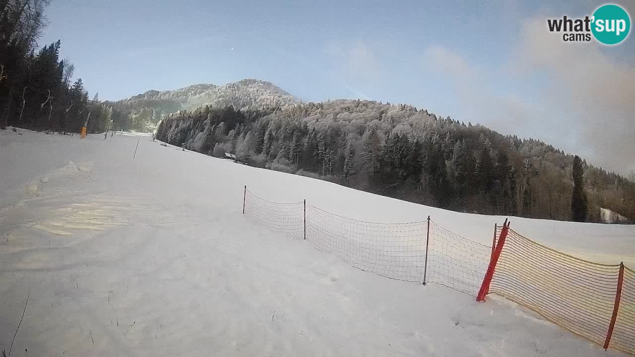 RTC Kranjska Gora | Brsnina
