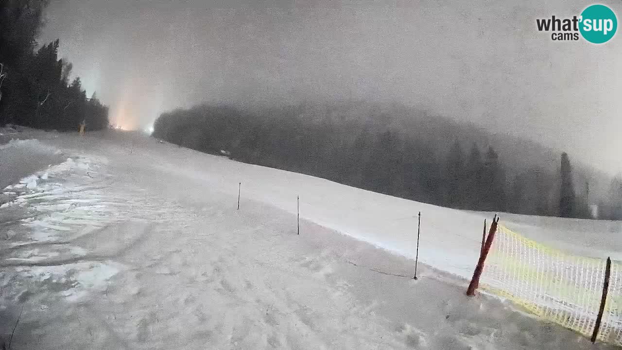 RTC Kranjska Gora | Brsnina