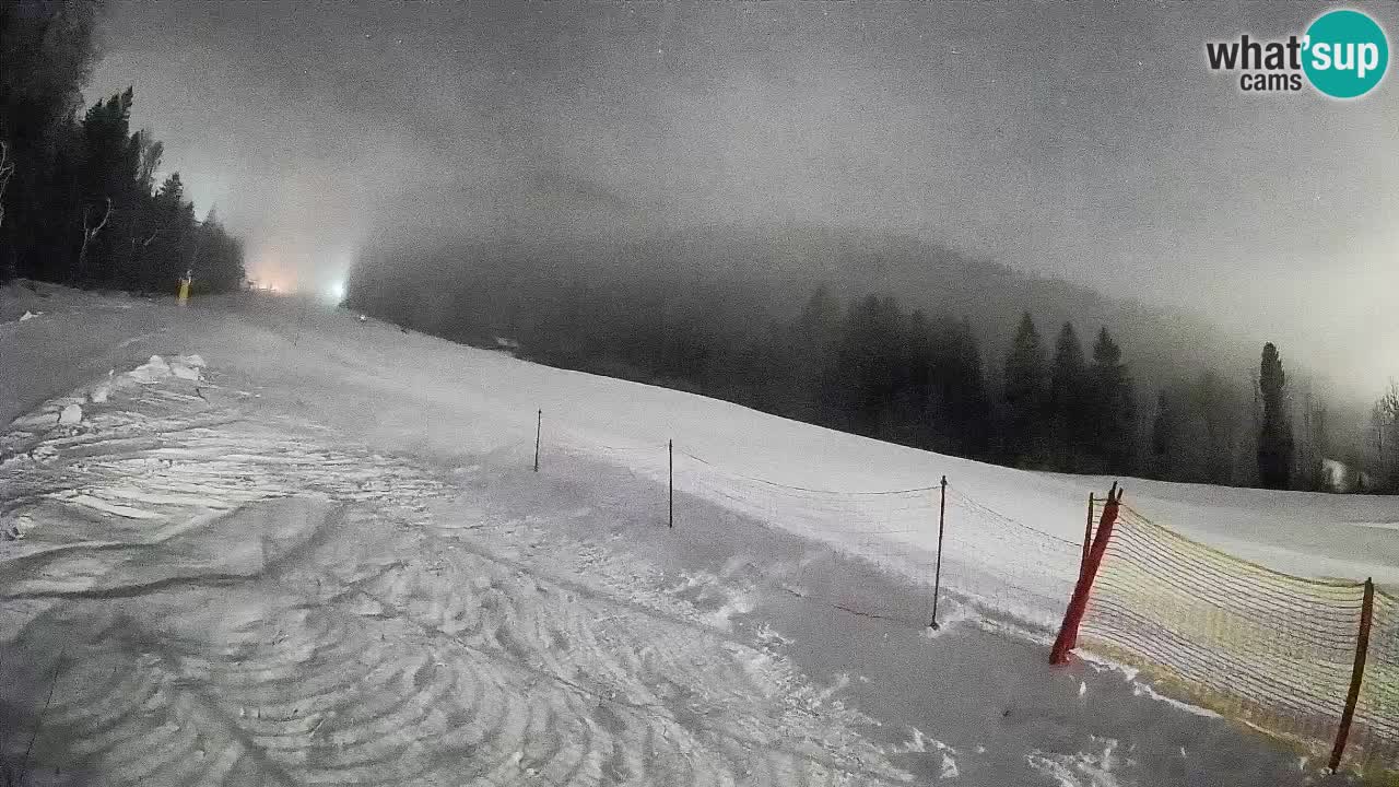 RTC Kranjska Gora | Brsnina