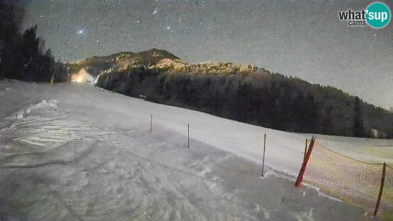 RTC Kranjska Gora | Brsnina