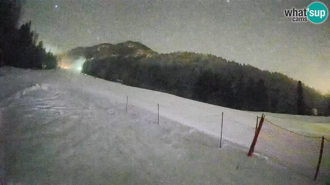 Kranjska Gora SKIJANJE | Brsnina