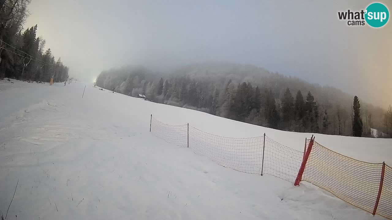Kranjska Gora Station de ski | Brsnina