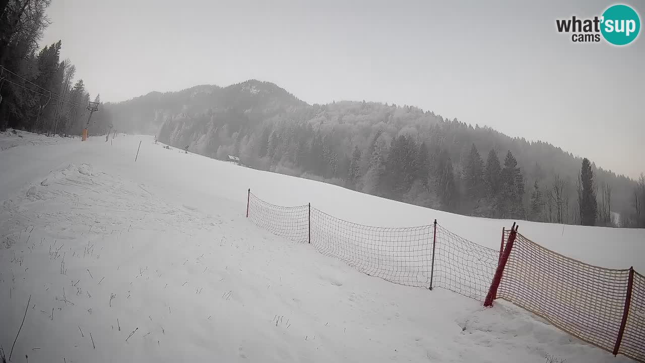 RTC Kranjska Gora | Brsnina