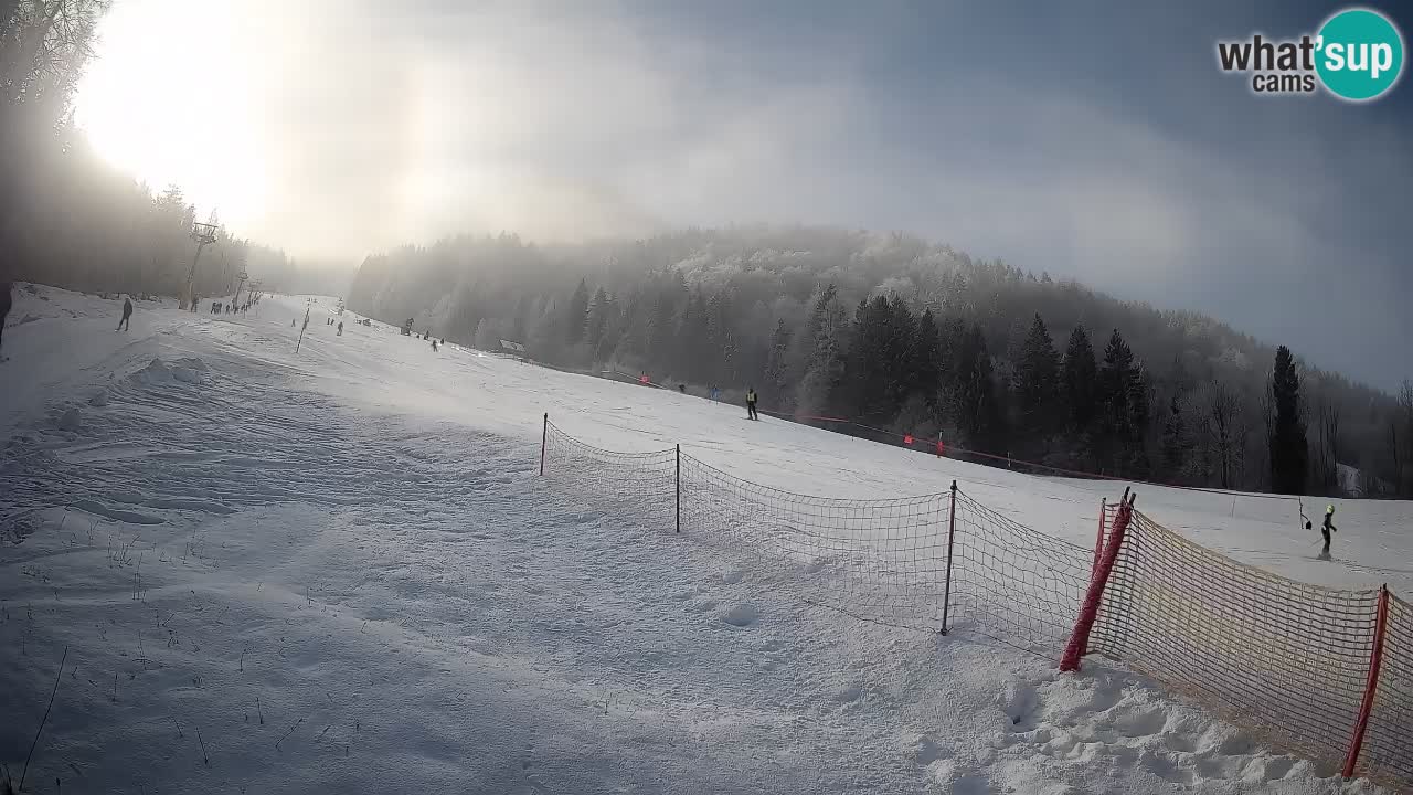 Esquí Kranjska Gora | Brsnina