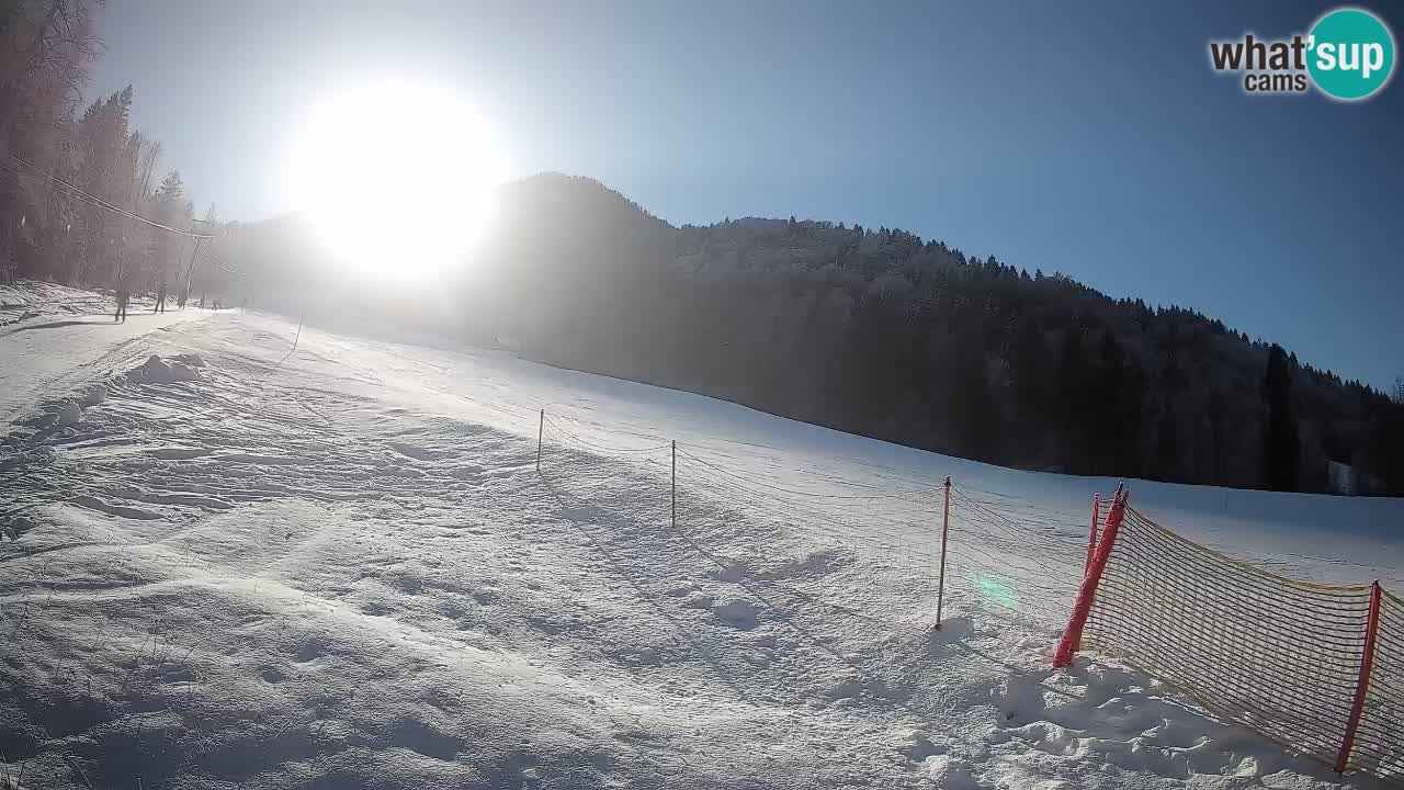 Esquí Kranjska Gora | Brsnina