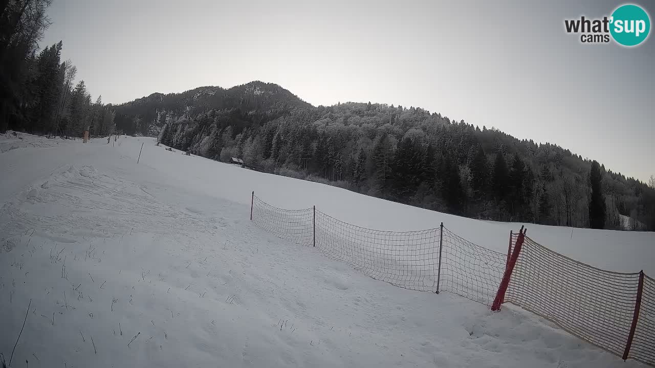 Ski Kranjska Gora | Brsnina