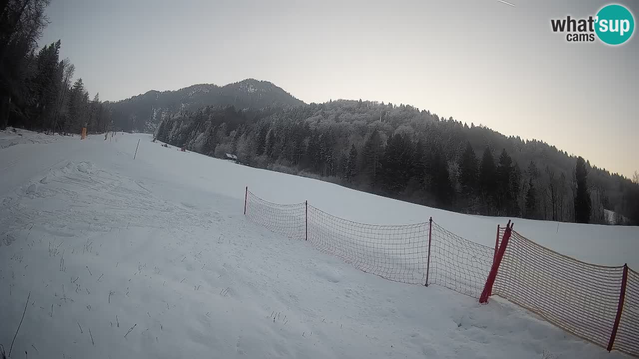 RTC Kranjska Gora | Brsnina