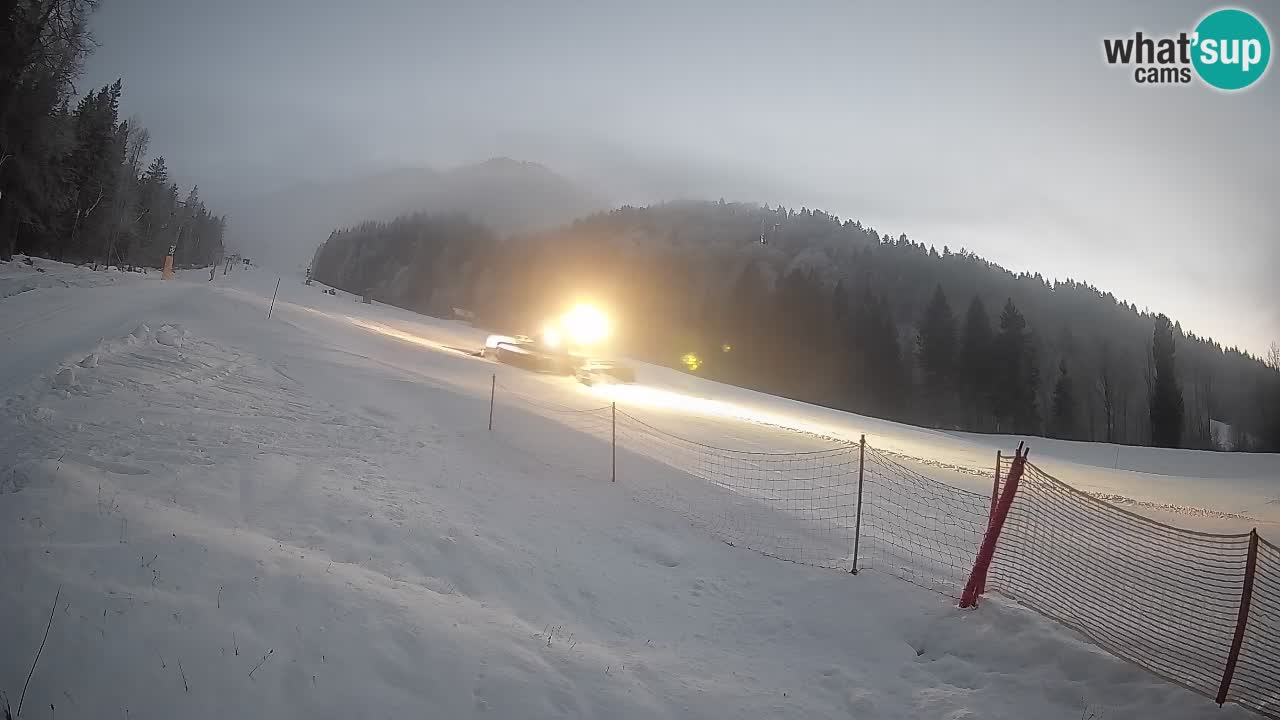 RTC Kranjska Gora | Brsnina