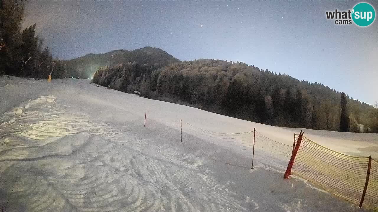 Kranjska Gora SKIJANJE | Brsnina
