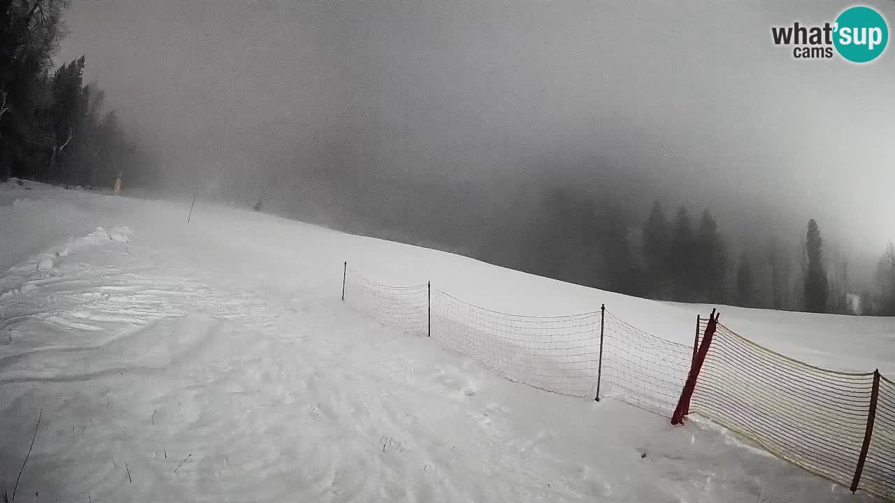 RTC Skigebiet Kranjska Gora | Brsnina