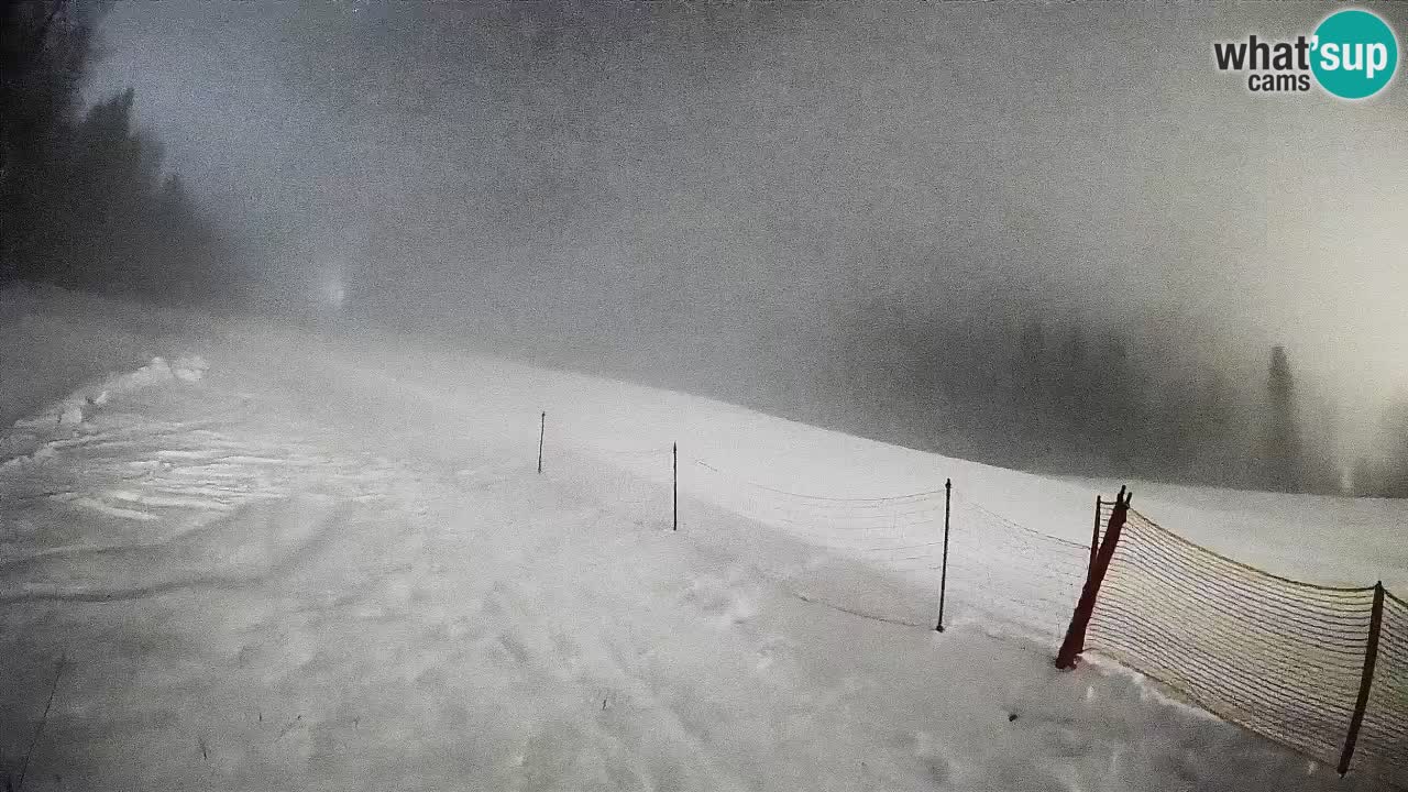RTC Skigebiet Kranjska Gora | Brsnina