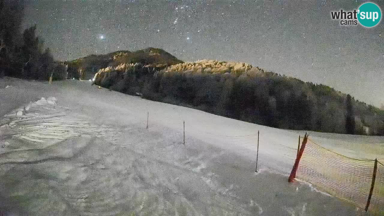 RTC Skigebiet Kranjska Gora | Brsnina