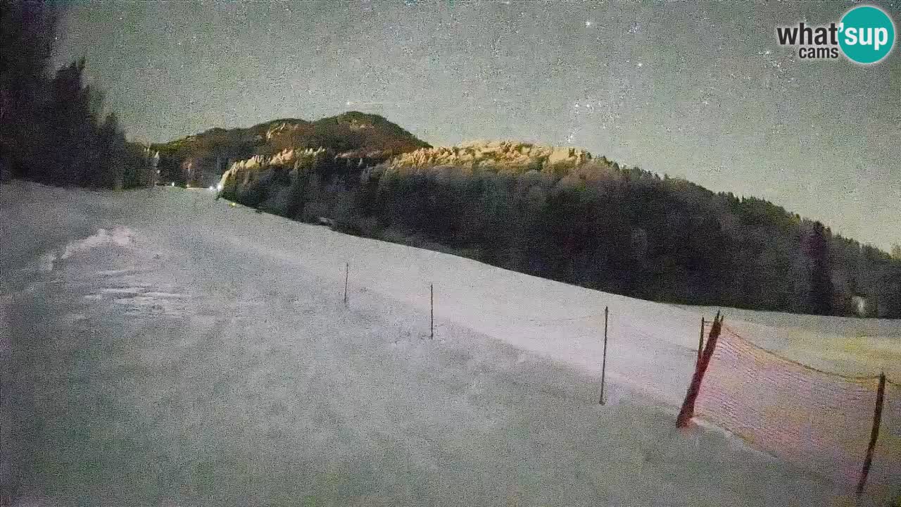 Ski Kranjska Gora | Brsnina