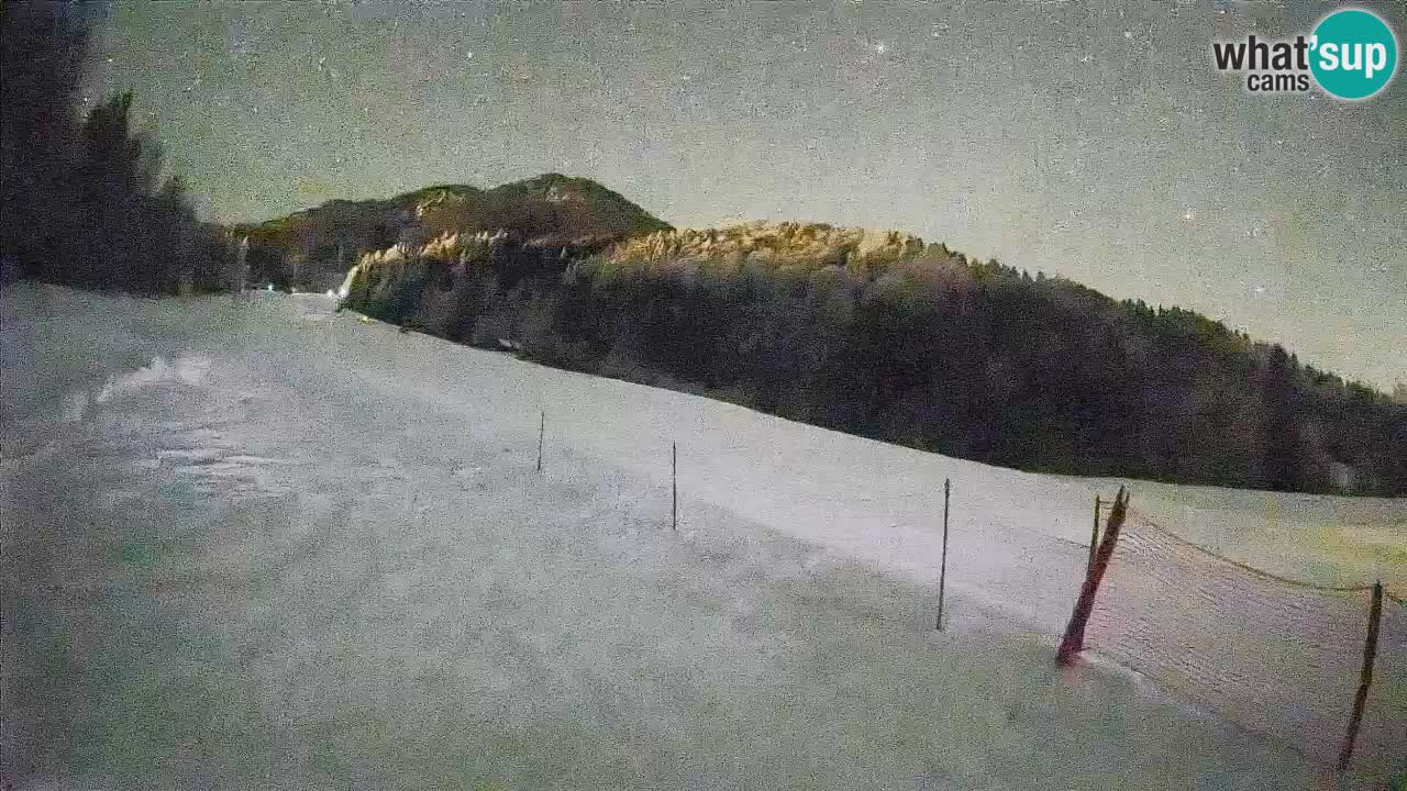 Comprensorio sciistico Kranjska Gora | Brsnina