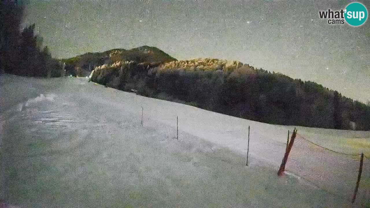 Kranjska Gora Station de ski | Brsnina