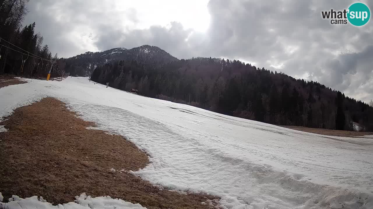Esquí Kranjska Gora | Brsnina