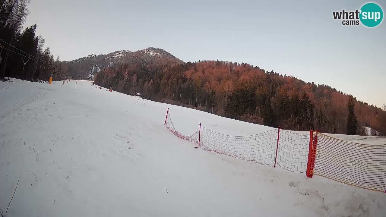 Esquí Kranjska Gora | Brsnina