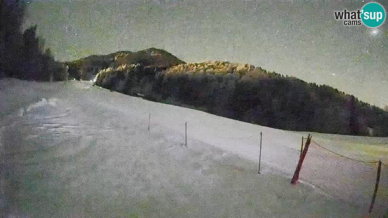 Comprensorio sciistico Kranjska Gora | Brsnina