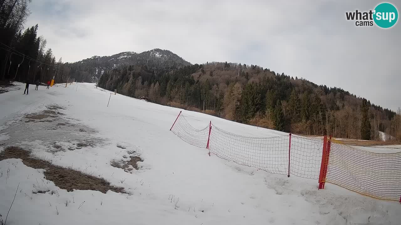 RTC Kranjska Gora | Brsnina