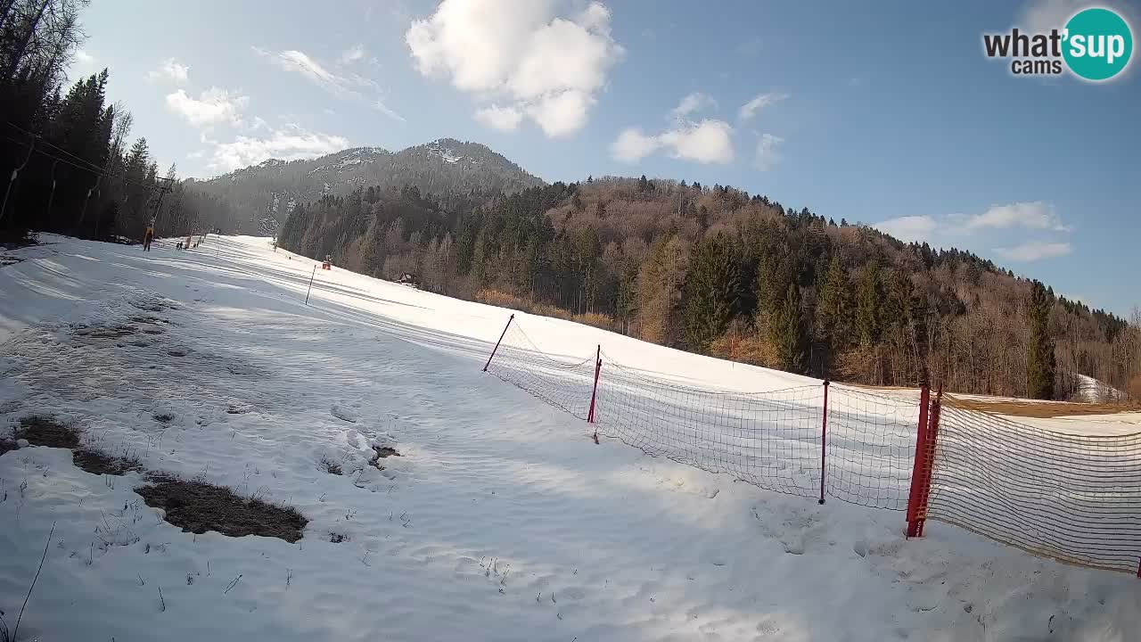 Ski Kranjska Gora | Brsnina