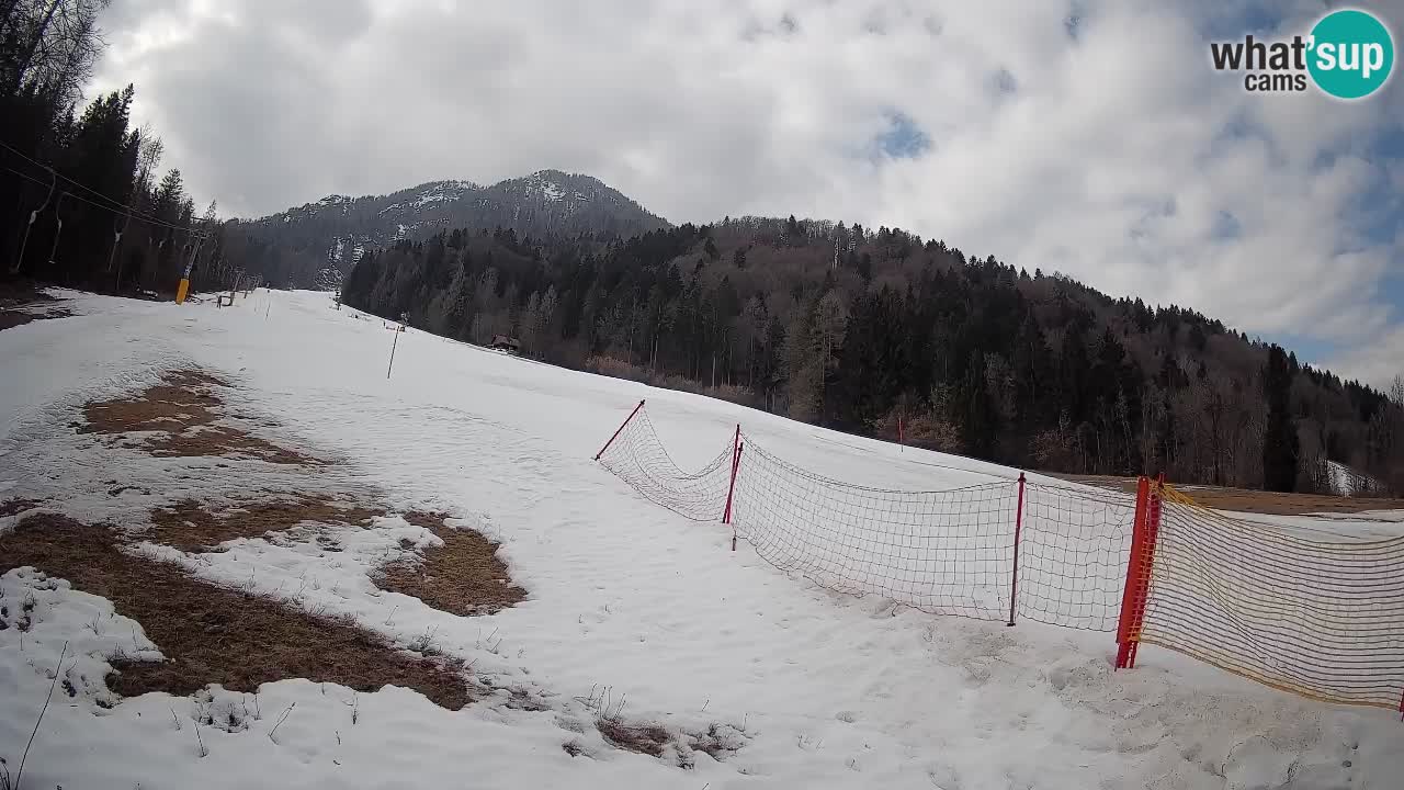 Esquí Kranjska Gora | Brsnina