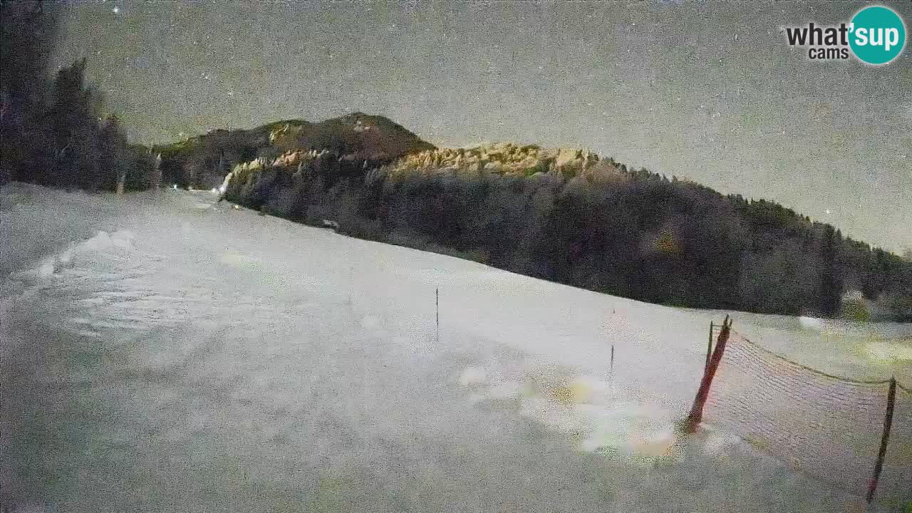 Kranjska Gora Station de ski | Brsnina