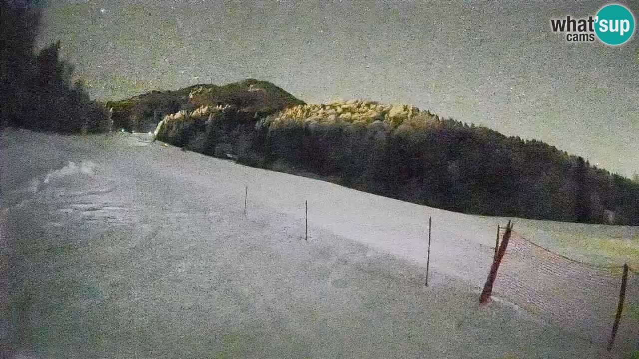 RTC Kranjska Gora | Brsnina