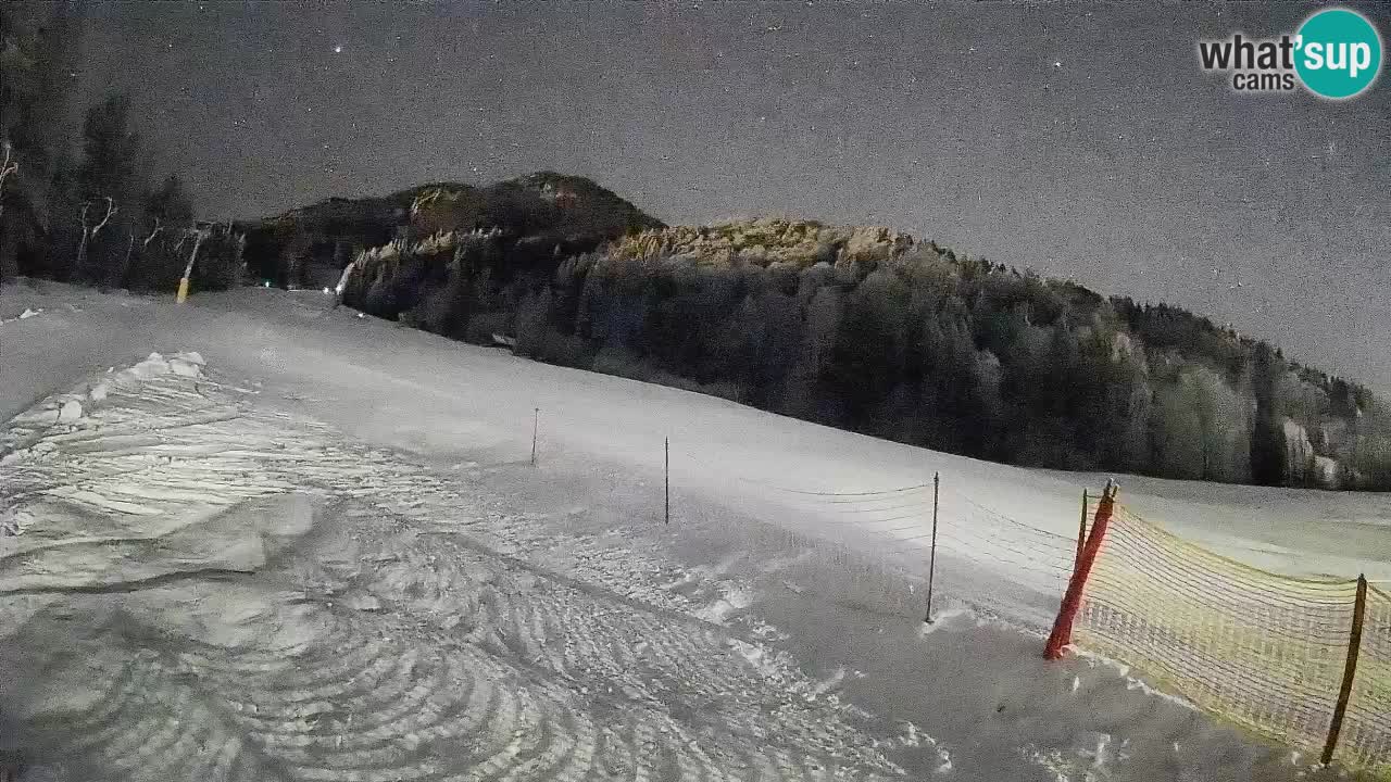 Comprensorio sciistico Kranjska Gora | Brsnina