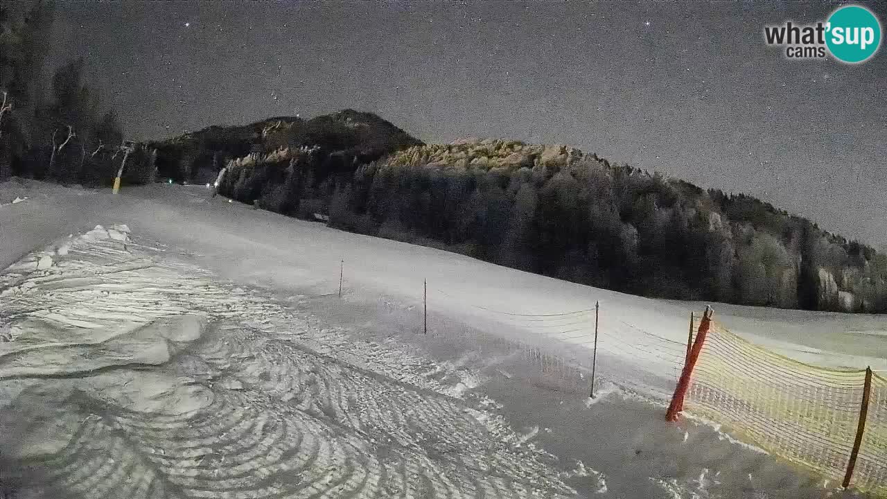 Comprensorio sciistico Kranjska Gora | Brsnina