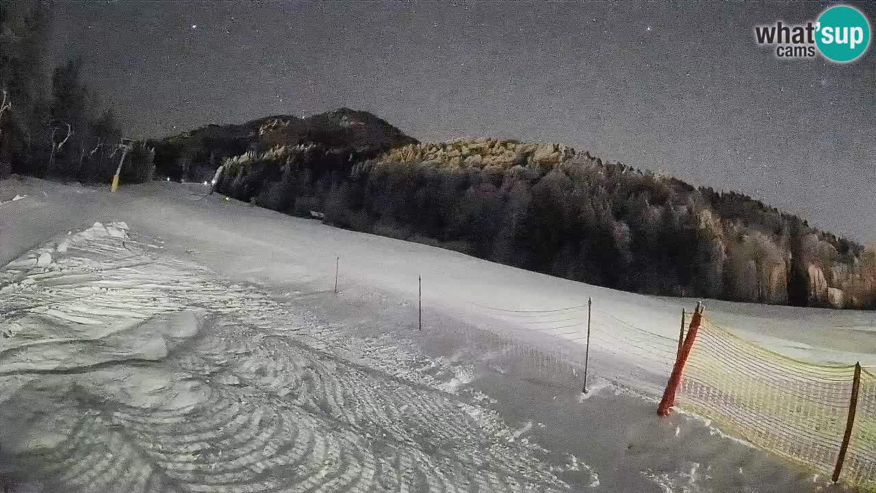 Comprensorio sciistico Kranjska Gora | Brsnina