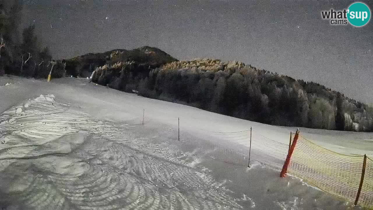 Comprensorio sciistico Kranjska Gora | Brsnina