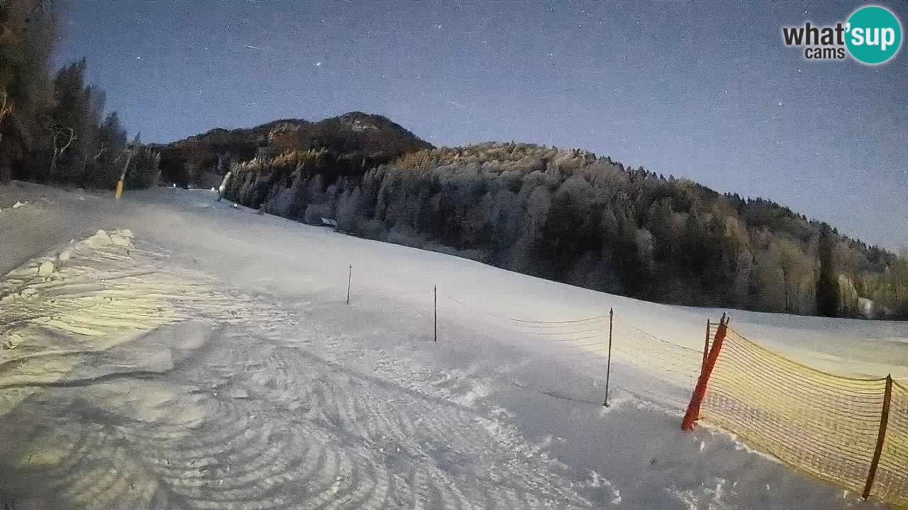 Kranjska Gora Station de ski | Brsnina