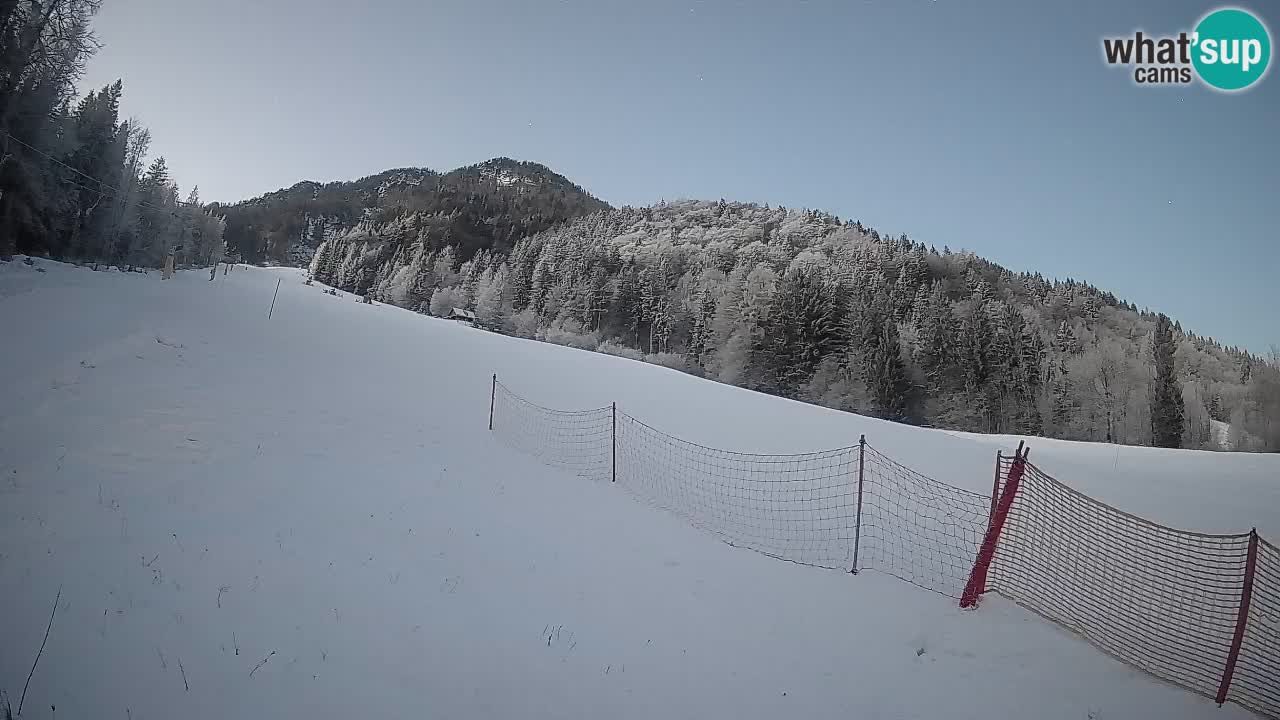 RTC Skigebiet Kranjska Gora | Brsnina