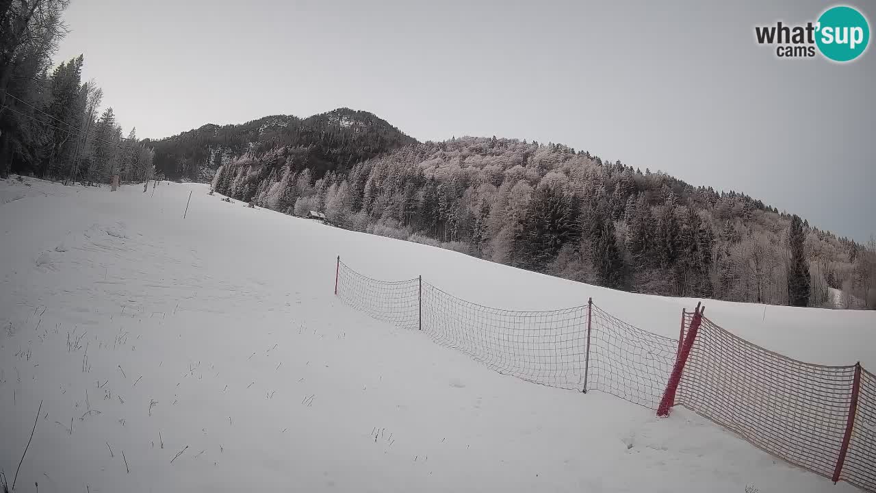 RTC Skigebiet Kranjska Gora | Brsnina