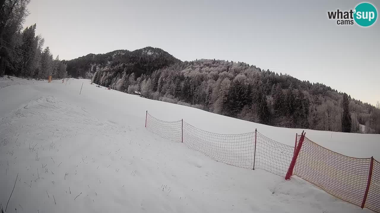 Kranjska Gora Station de ski | Brsnina