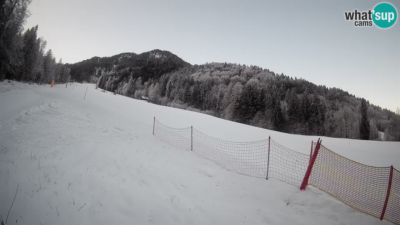 RTC Kranjska Gora | Brsnina