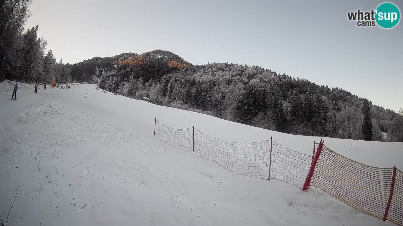 Kranjska Gora SKIJANJE | Brsnina