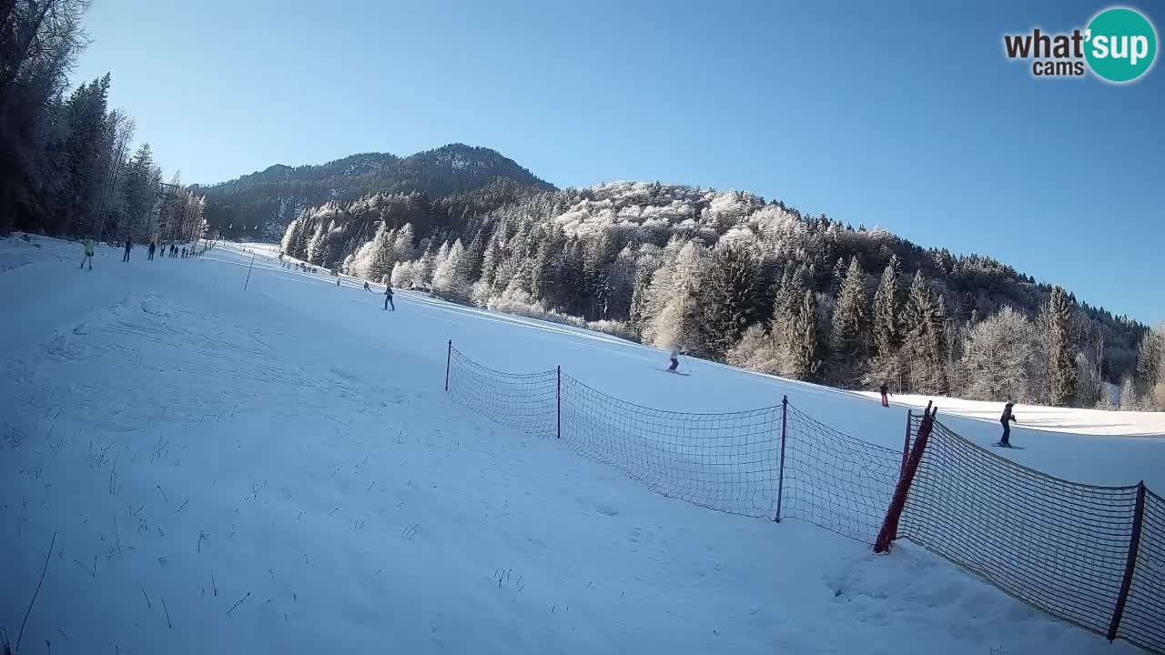 RTC Kranjska Gora | Brsnina