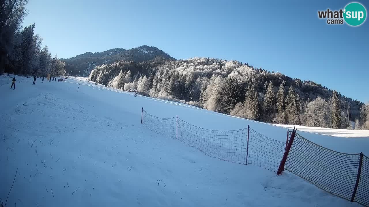 Kranjska Gora Station de ski | Brsnina