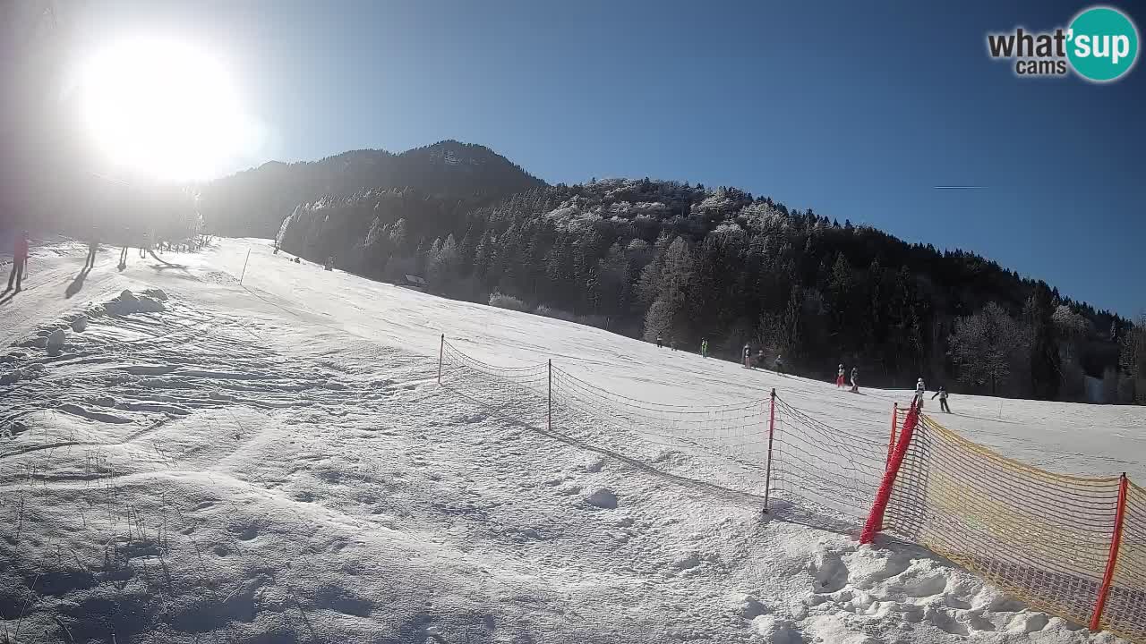 Ski Kranjska Gora | Brsnina