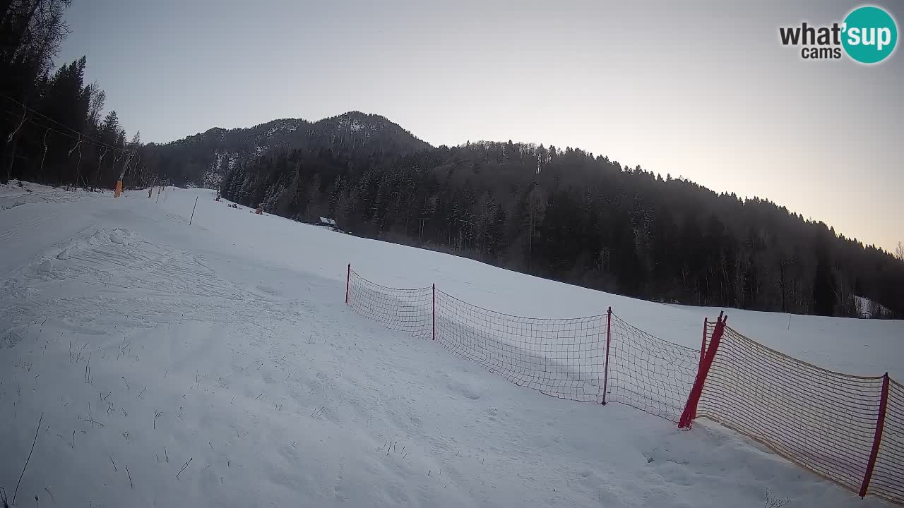 RTC Kranjska Gora | Brsnina