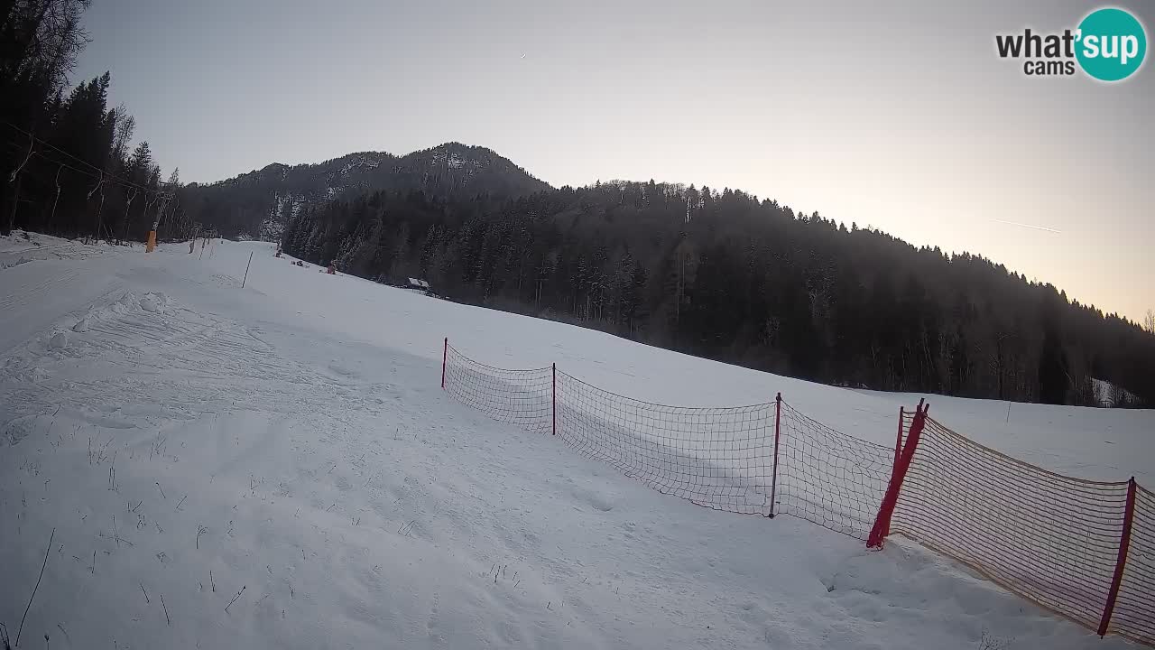 Kranjska Gora Station de ski | Brsnina