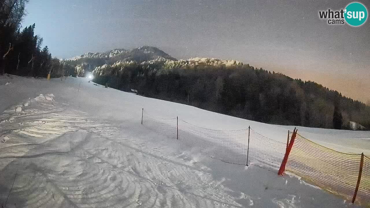 RTC Kranjska Gora | Brsnina