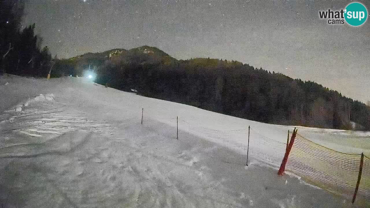 Kranjska Gora Station de ski | Brsnina