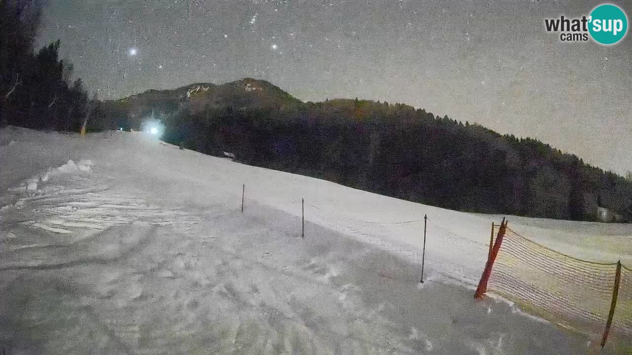Kranjska Gora Station de ski | Brsnina