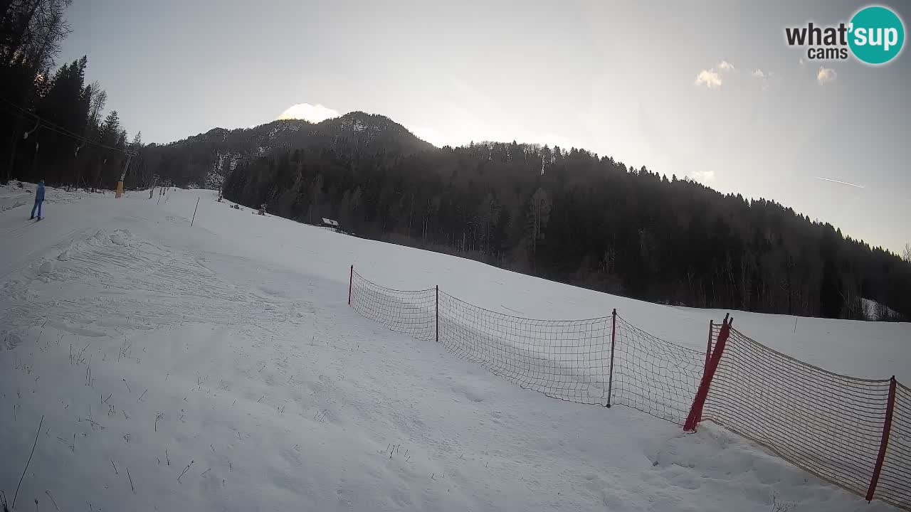 RTC Kranjska Gora | Brsnina